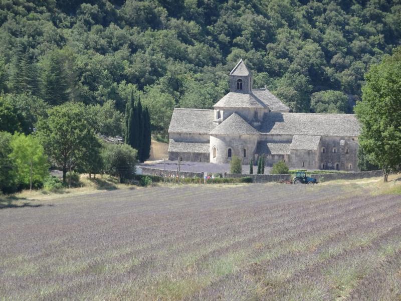 lavendel_provence