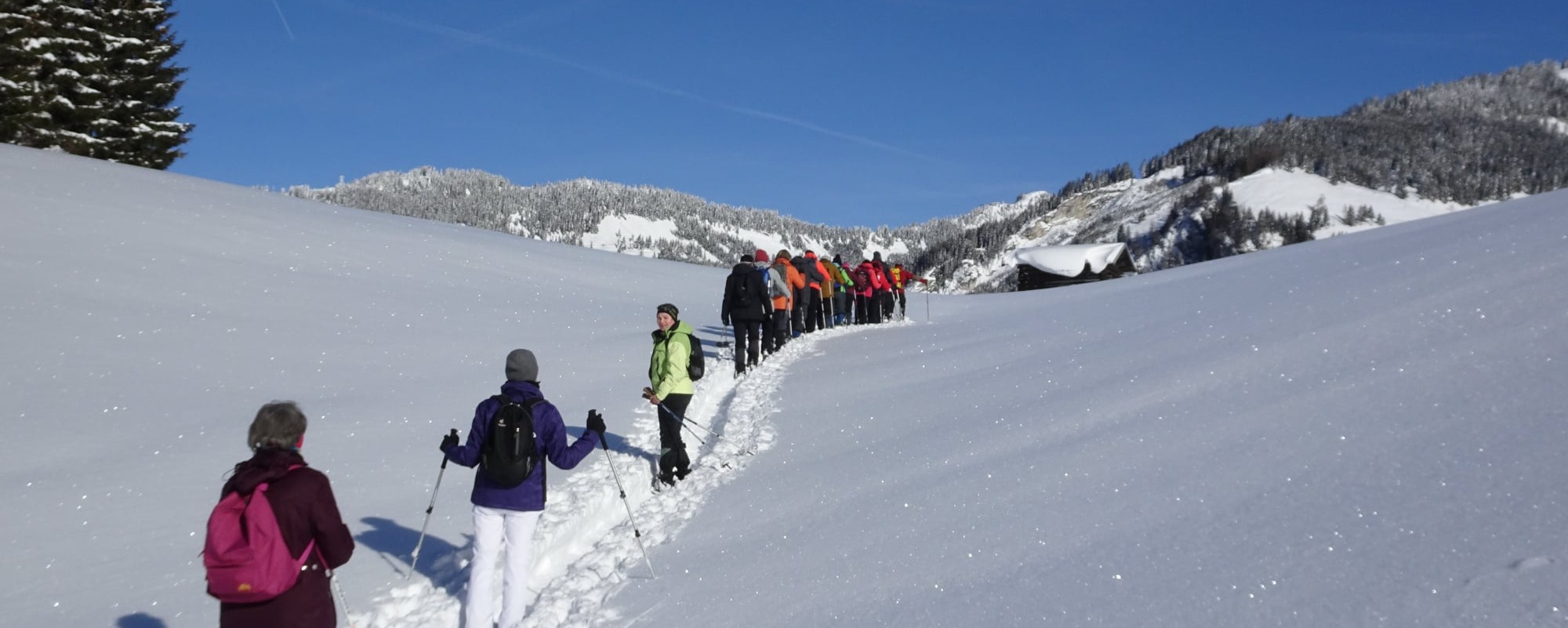 schneewanderer