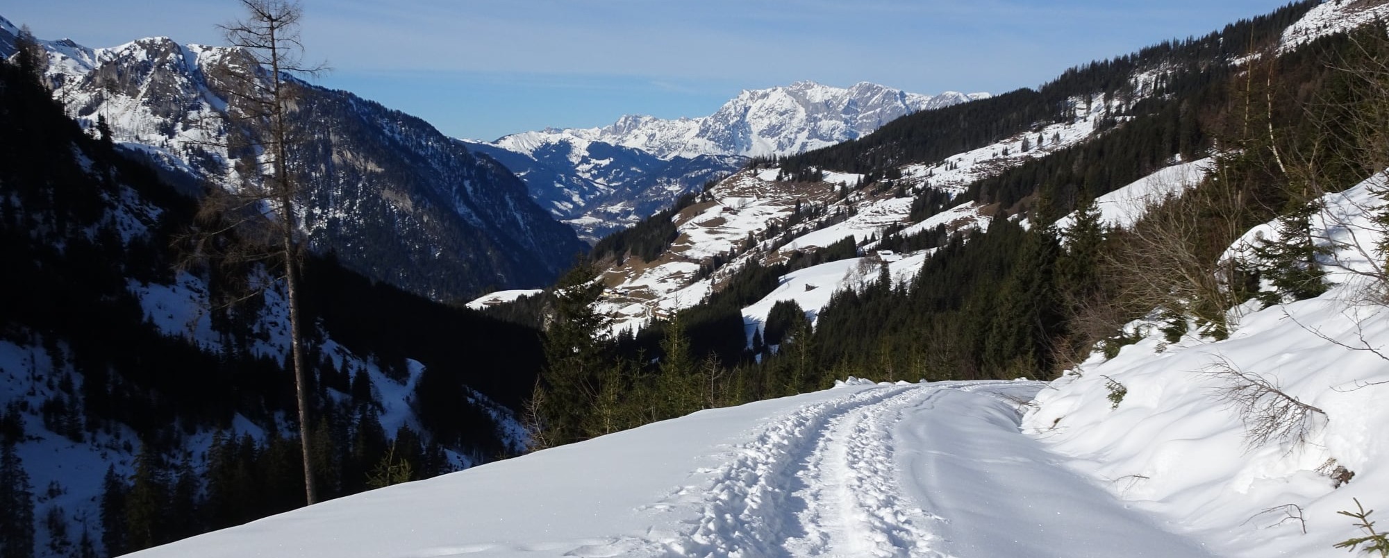 wanderer_schnee