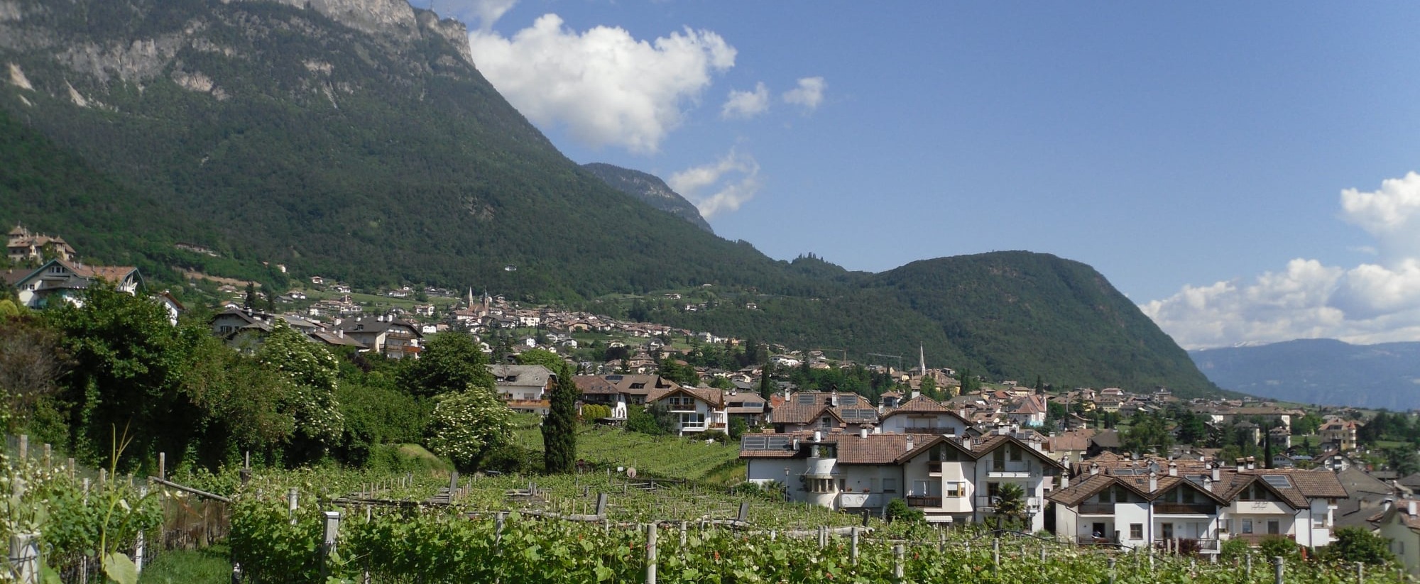 trentino