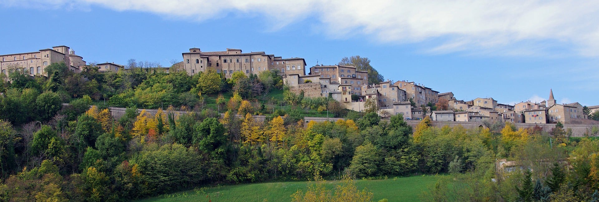 urbino