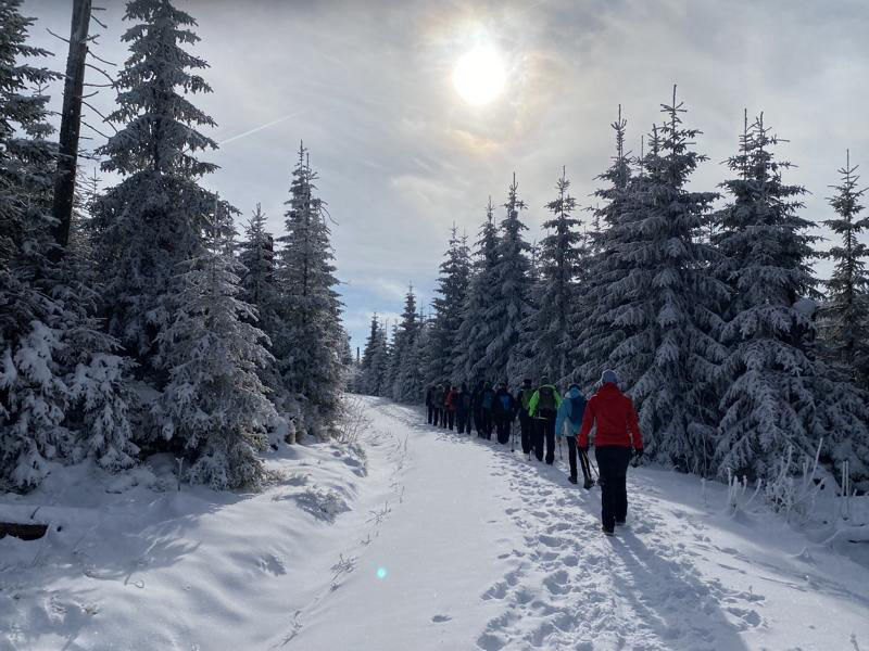 schneeschuhwanderer_wald