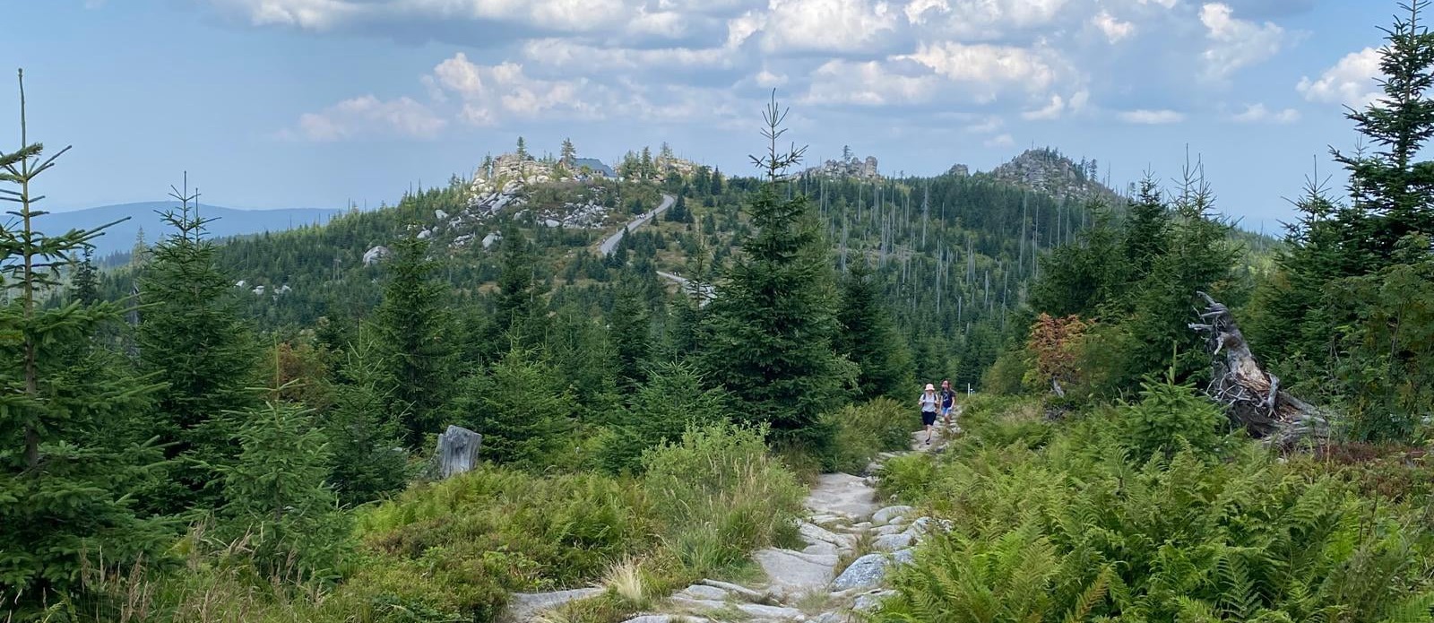 felsen_wanderweg