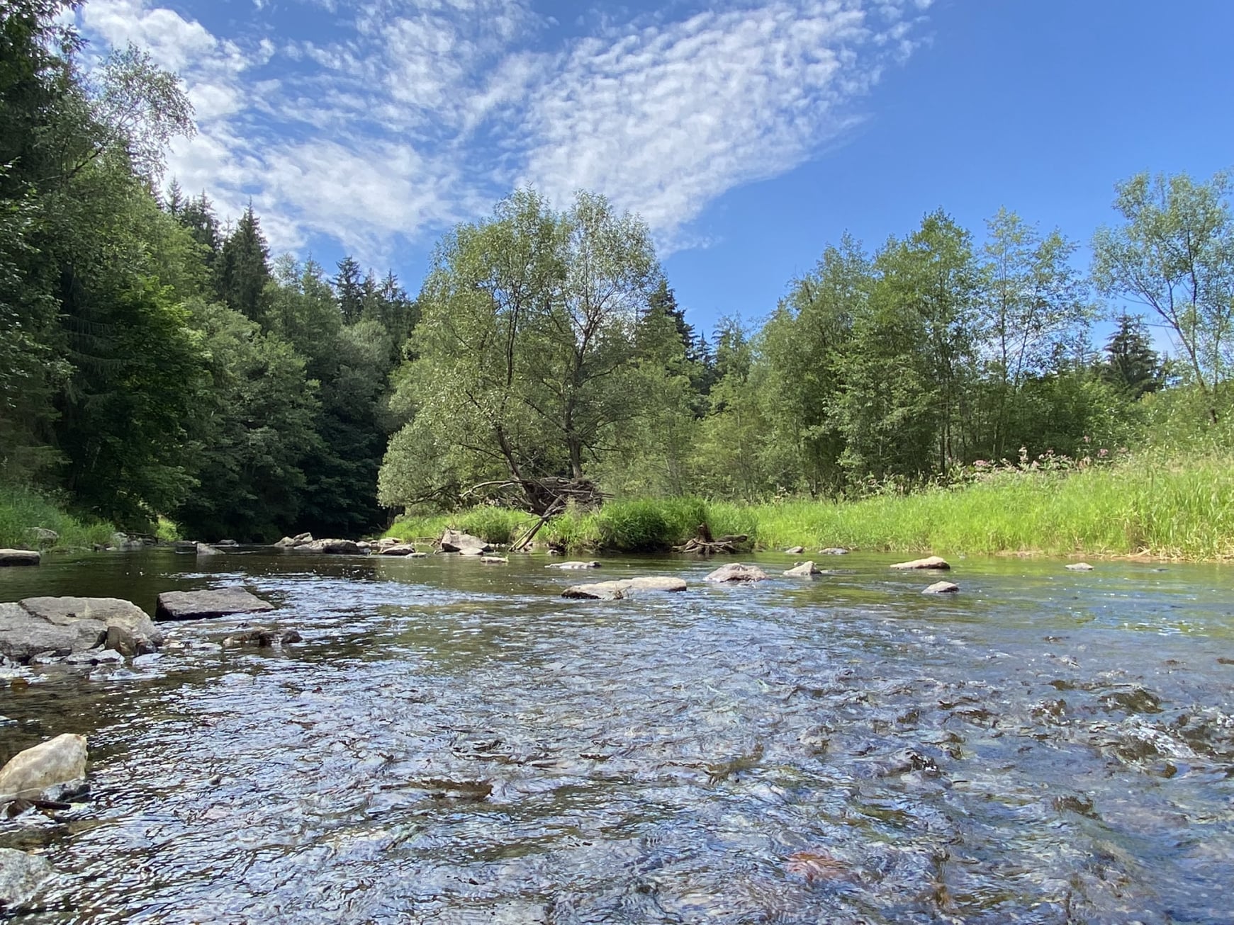 flussgabelung