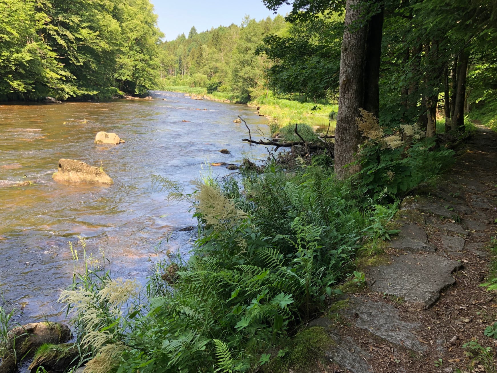 fluss
