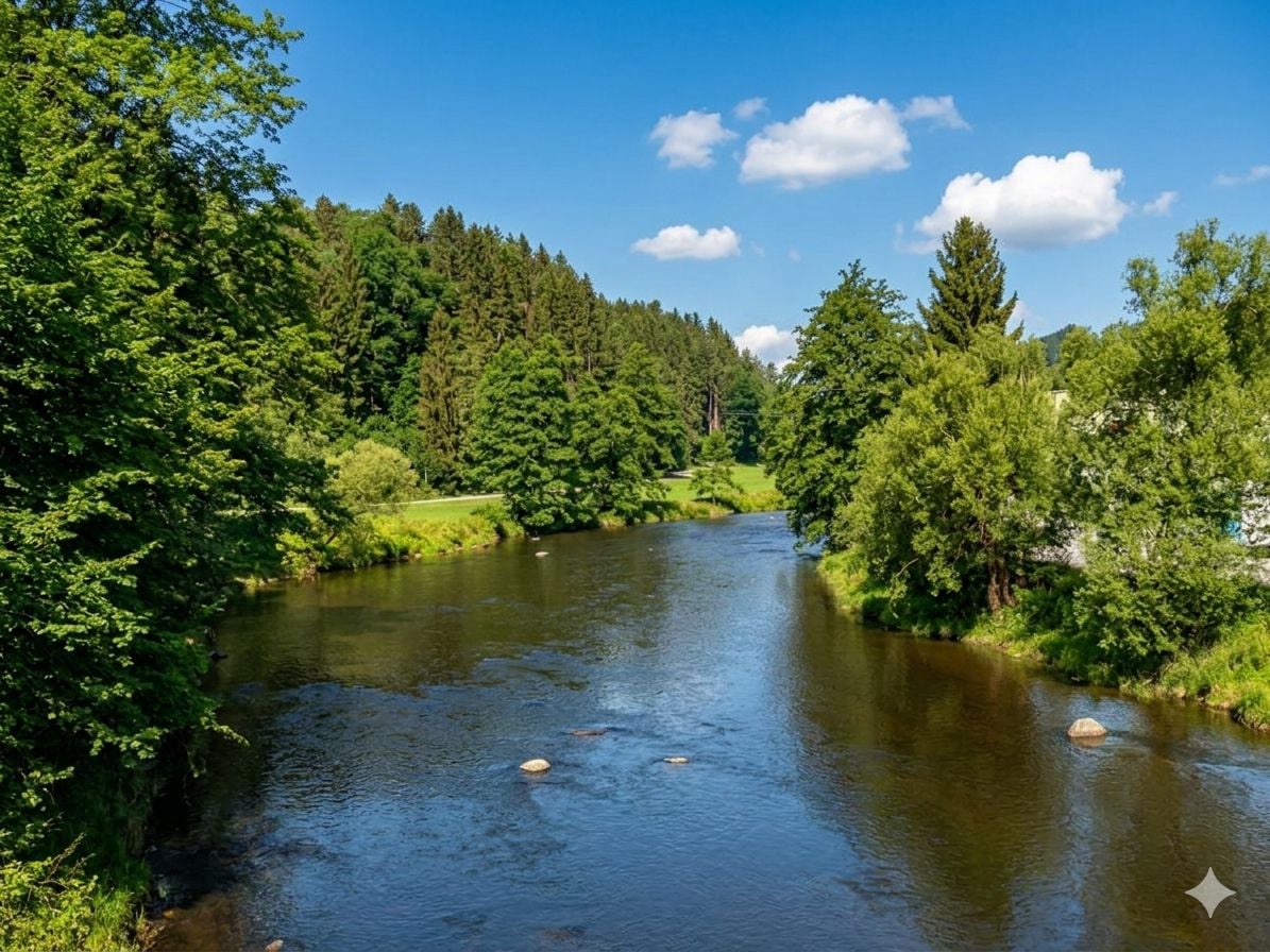 fluss_wald