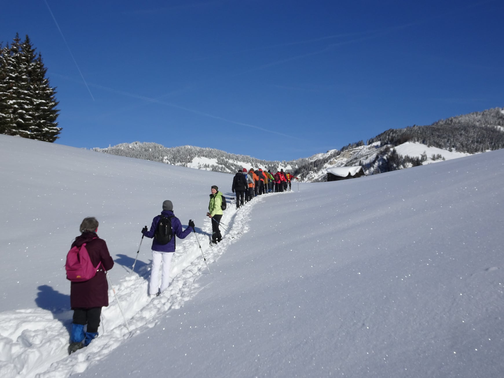 schnee_wanderer