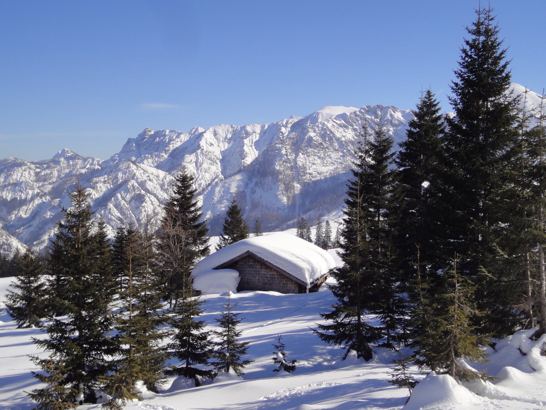 huette_wald