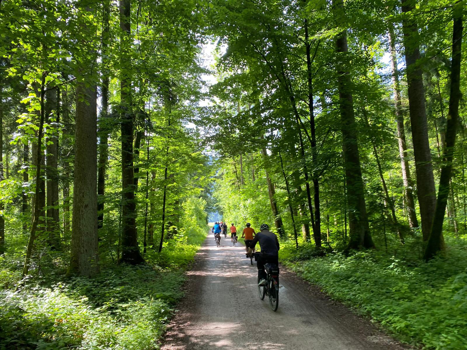 radler_wald