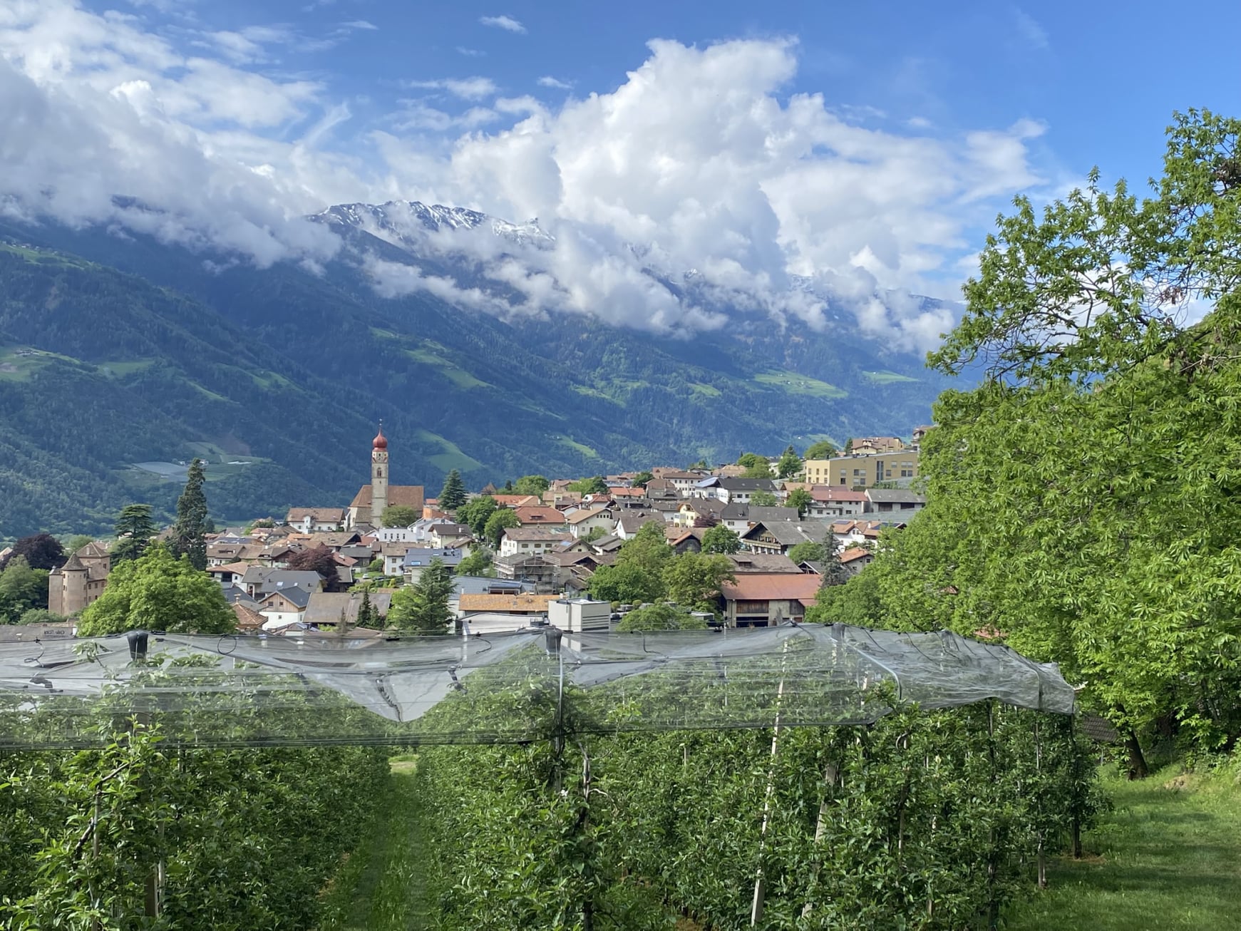 berge