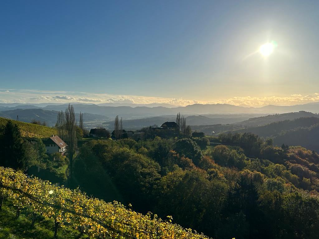 sonne_Landschaft