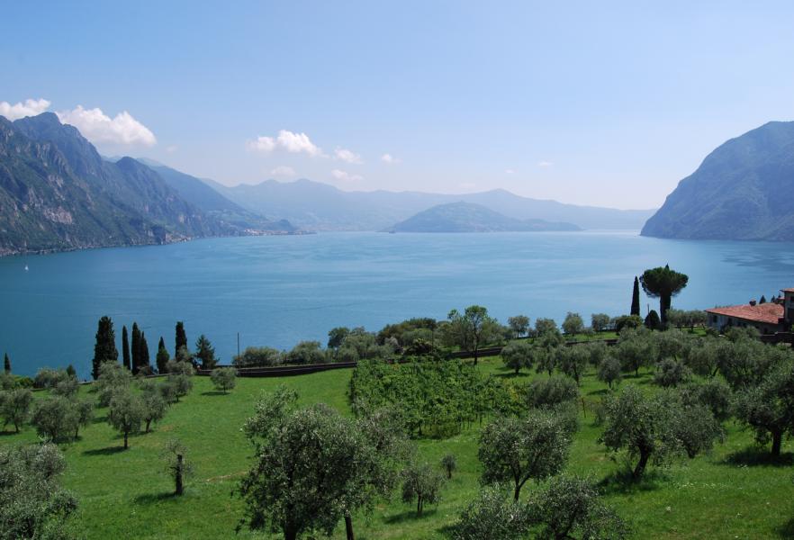 iseosee