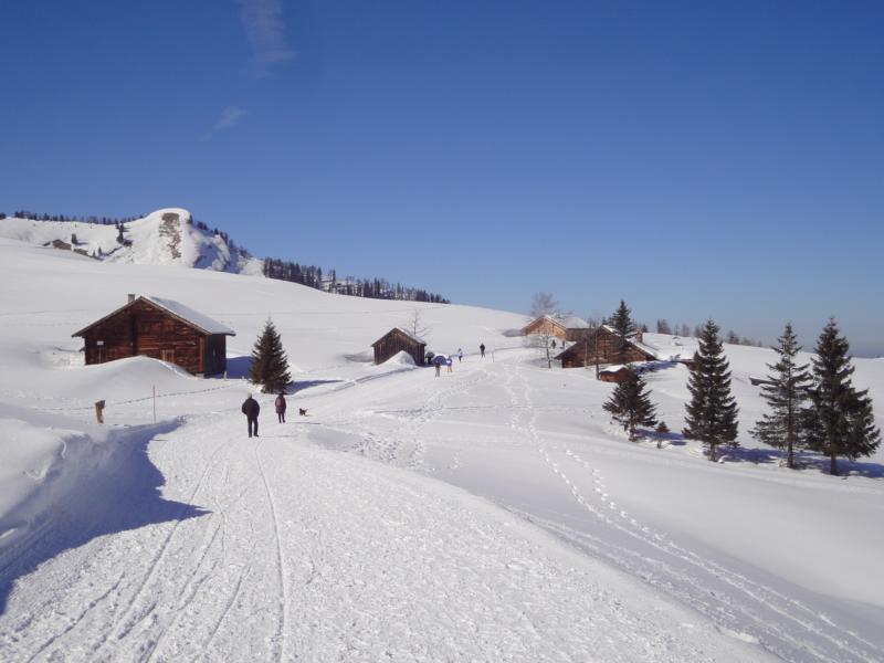schneelandschaft