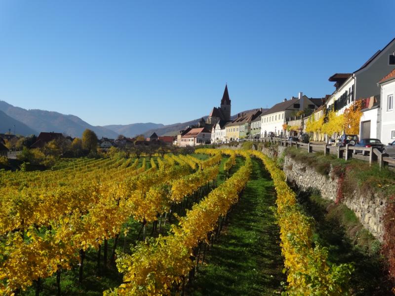 wachau