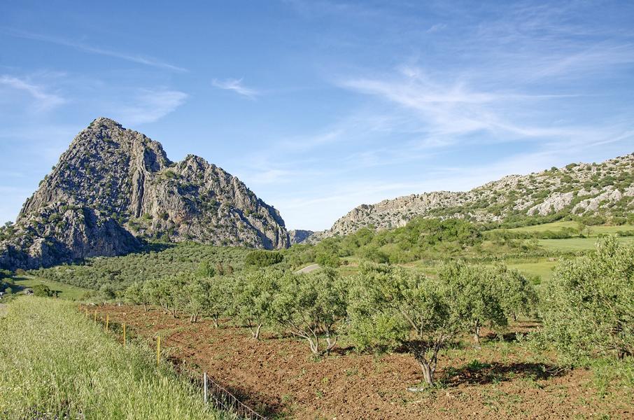 felsen_berge