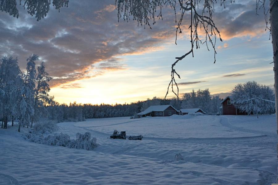 schneelandschaft