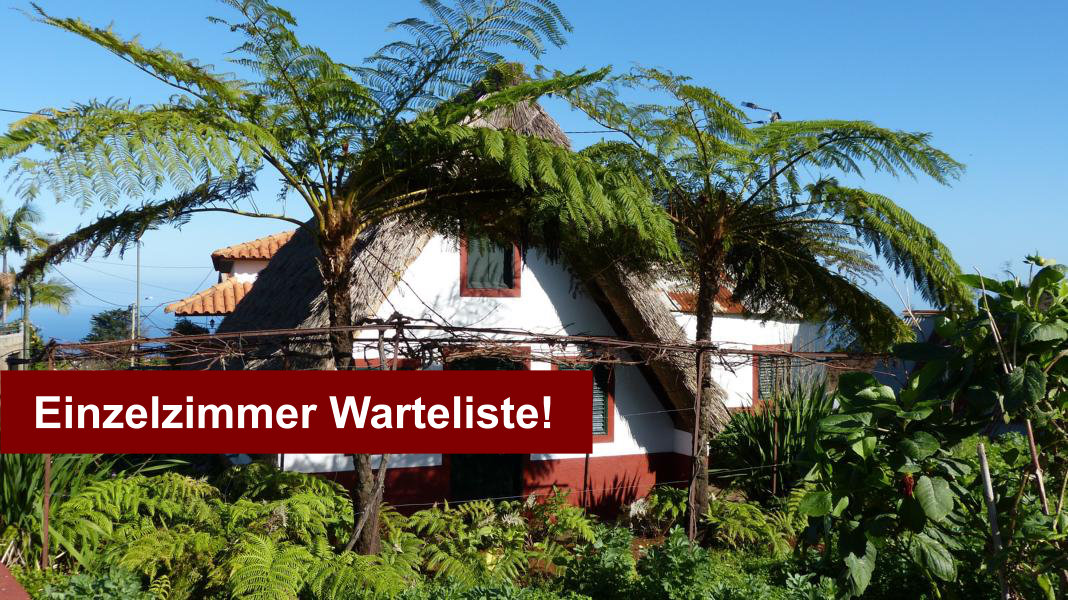 haus_palmen