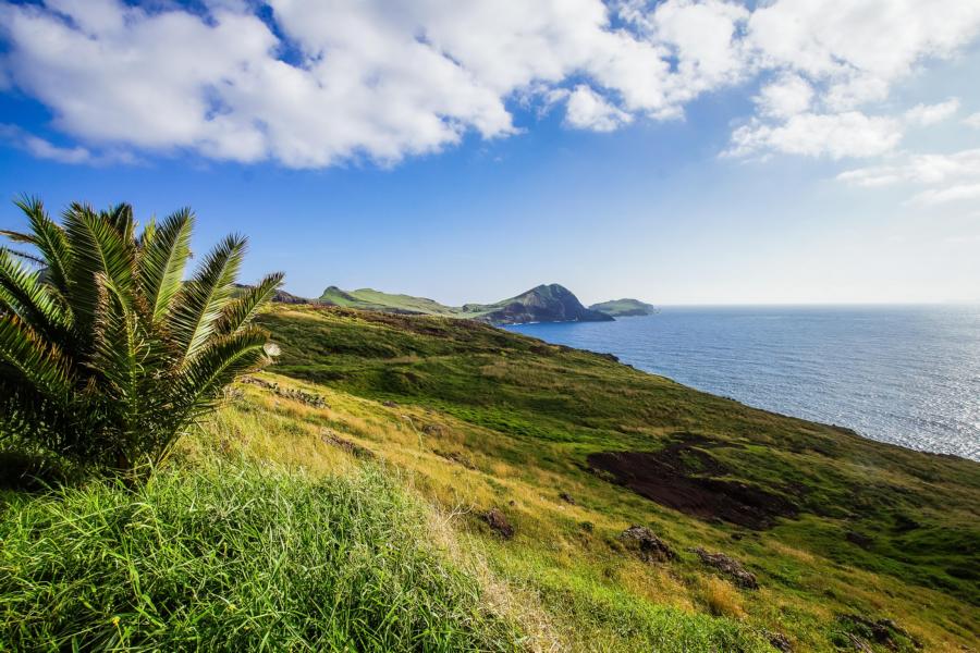 madeira_kueste